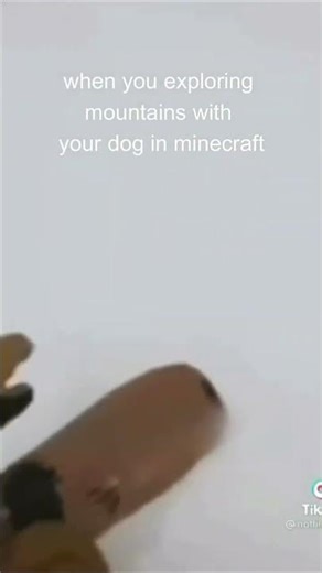 Minecraft Dog meme #meme #minecraft #minecraftmemes #funnymemes #minecraftshorts