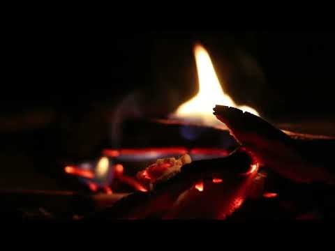 Clavichord • Dark Academia Music | Baroque Candlelit Chamber 🕯️