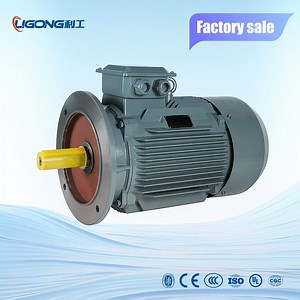 [Hot Item] Ie3 Ie4 Ie5 Squirrel Cage Asynchronous Motor for Packaging Machinery