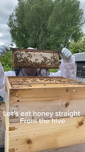 23K views · 310 reactions | Taking a frame of honey with bees still on it and removing some raw honey with some beeswax to all try some #rawhoney #freshhoney #realhoney | Manchester Honey Company | Facebook
