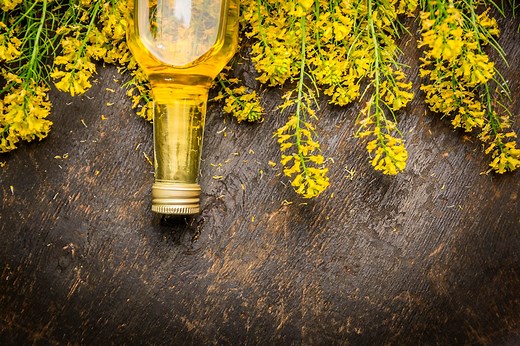 What Does Canola Oil Stand for, and Where Does It Come From?