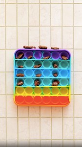 16K views · 19 reactions | Unbezahlbare Tricks und Kniffe für lebenslange Freude mit dem Hund | 5-Minuten Tricks | Facebook