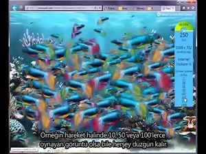 IE9 Performance Demo