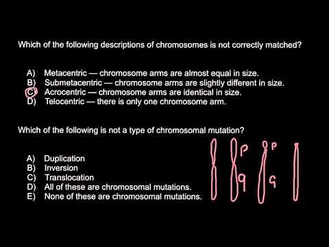 Chromosomes: Metacentric, Submetacentric, Acrocentric, Telocentric