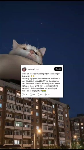 mùa đông không lạnh :33 #fyp #threadscity #xuhuong #viral #threads