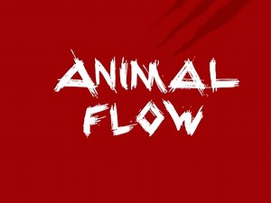 Animal Flow On Demand