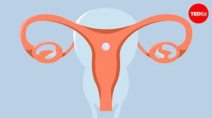 What happens in your body during a miscarriage?