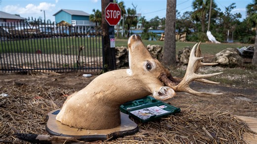 State insurance commissioner asks: ‘Have you read your insurance policy?'