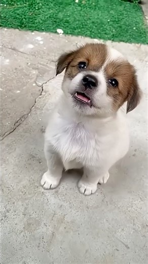 New Cool Tool!& 🥰New Viral Gadgets, Smart Kichen Appliances, Tolls, Utensils, HomeCleaning shorts😻