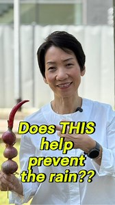 Have you ever planted chilli with onions 🌶️🧅 with the belief that it would keep the rain away for an important outdoor event? Or tried to predict the weather based on the colour of the sky? Let's find out how our meteorologists actually forecast tomorrow's weather so you don't have to DIY. ⛈️🌤️ #OnTheJobWithGrace | Grace Fu