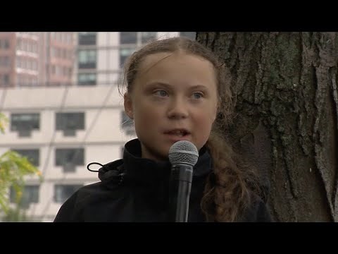 Champion of the Earth 2019 - Fridays for Future