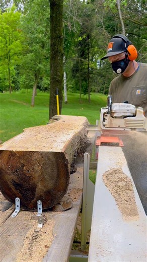 Slicing a Maple Log into Gorgeous Live Edge Slabs for Future Home/Kitchen Decor Woodworking Projects