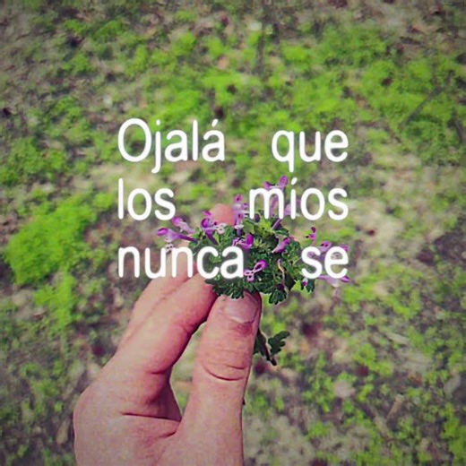 Me no white, me Cuban papi #badbunny #fyp #music