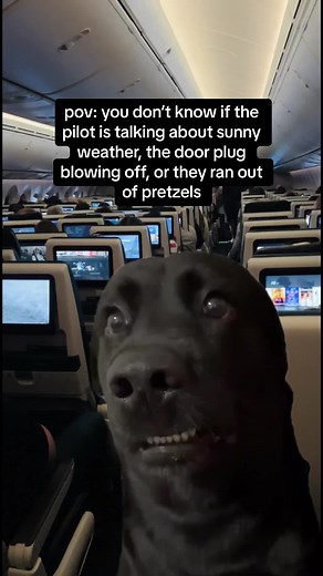Talking Planes Meme - Funny Airplane Humor