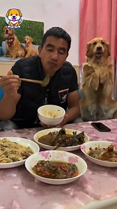 Baby Dogs 🔴🐶🐶 Cute and Funny Dog Videos | Baby Dogs