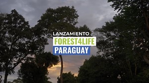 ¿Ya conocés #Forest4Life? 🤝 Es un proyecto, con apoyo de la #UE 🇪🇺, que busca contribuir al fortalecimiento del Sistema Nacional de Áreas Protegidas y a la prevención y combate de incendios forestales, junto con el Ministerio del Ambiente y Desarrollo Sostenible Paraguay y el Instituto Forestal Nacional del Paraguay 🇵🇾🌳🧑🏻‍🚒 #Forest4Life fue anunciada recientemente por el comisario europeo de Medio Ambiente, Océanos y Pesca, Virginijus Sinkevičius, y también brindará apoyo para la consol