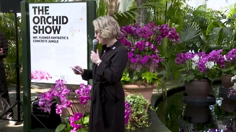 Mr. Flower Fantastic turns orchids into a love letter to New York at NY Botanical Garden