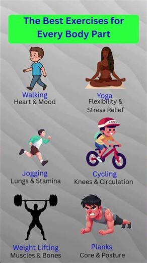 The Best Exercise for Every Body Part (Science-Based Full Body Guide)