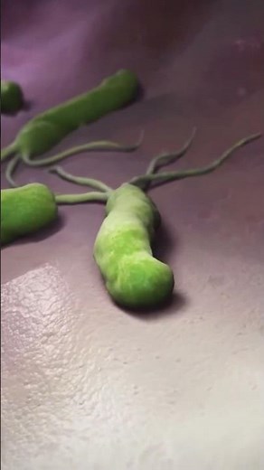 The Four Vital Functions of Your Stomach Acid #Shorts