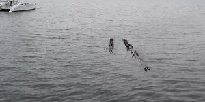 Low water levels expose old ruins in Lake Champlain