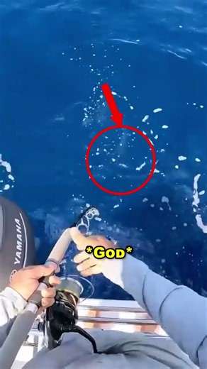 He Pulled Out a RIVER MONSTER