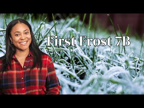 I Missed the Freeze Warning and This Happened | First Frost 7B