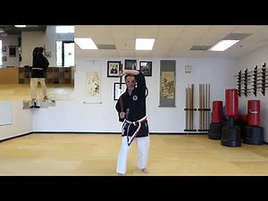 Matayoshi No Nunchaku kata full speed