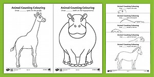 Safari Animal Patterns Counting and Colouring Sheets