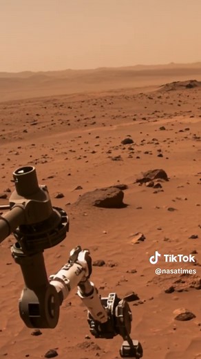 おすすめのアカウント