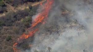 Brush fire burns 25 acres; prompts closure of Griffith Observatory