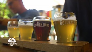 4.8K views · 19 reactions | The Danettes got a behind the scenes brewery tour and learned the science behind the beer, now it's finally time to sample some Golden Road Brewing! | The Dan Patrick Show | Facebook