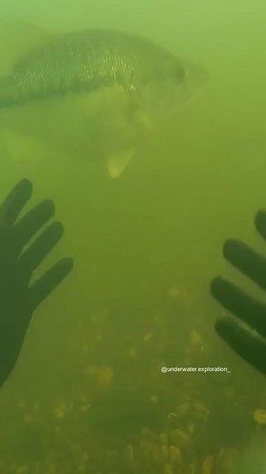 สล็อต on TikTok