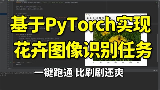 1小时跑通！博士真的把基于Pytorch的花卉图像识别讲的好清晰，超级适合菜鸟的深度学习图像分类实战教程！