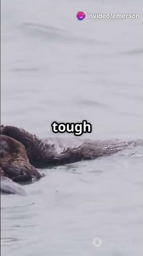 Otter vs Snake: The Ultimate Showdown