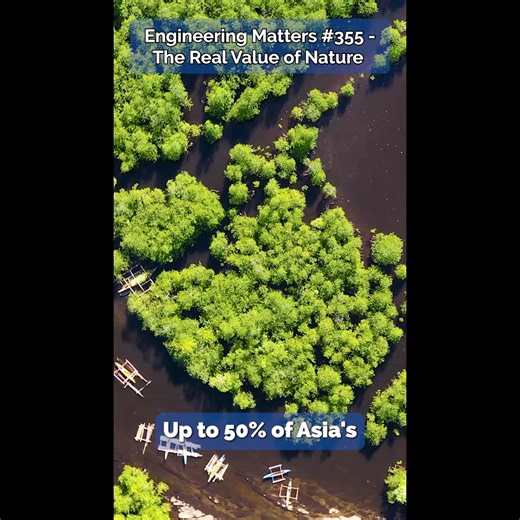 Coastal ecosystems are powerhouses in the fight against climate change. Their value goes far beyond what we often measure. Mangroves, for example, can sequester up to 4 times as much carbon as forests and provide significant flood damage protection to the value of around USD 65 billion annually. In addition, they also deliver significant fish provisioning, biodiversity, livelihood, social and cultural values. This is where the Net Ecosystem Value framework (NEV) comes in. NEV translates high-fid