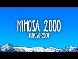 Furacão 2000 - Mimosa 2000
