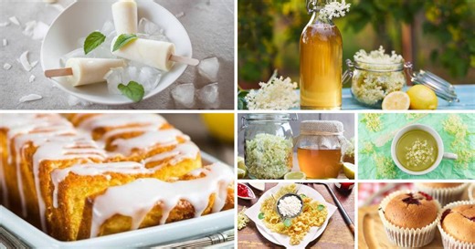 15 recepata s bazgom: Od meda do sirupa, pekmeza, kolača...