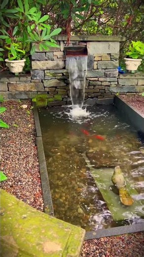 Check this secret garden sanctuary we cleaned out complete with formal waterfall and koi pond!💦🎏