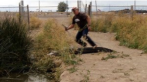 Gator Catch! | Wild Charles