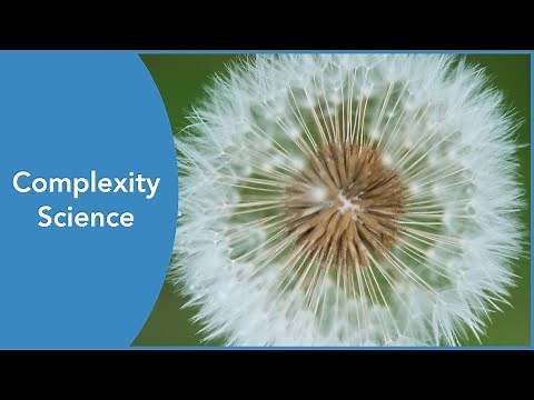 Complexity Science - Short Film