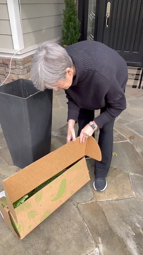 550K views · 2.3K reactions | Easy Spring Planters! Shop link in comment below! You can’t go wrong with ferns! I usually kill the real kind… they need SO much water! But these look so real without all the effort! lol  And these planters! They look fab no matter what I put in them! I’ll link those too! #amazonfinds #amazonhome Amazon Home Finds Amazon Must-Have | The Design Twins | Facebook