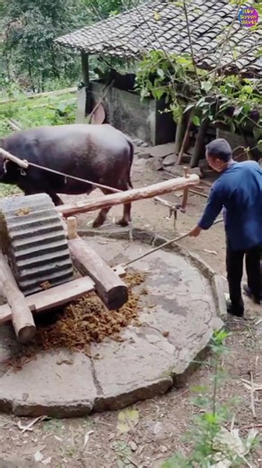 Ancient Handmade Paper Making Process