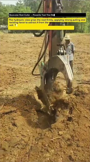 Excavator Root Cutter — Powerful Tool That Removes Tree Roots Instantly! 🌳💪