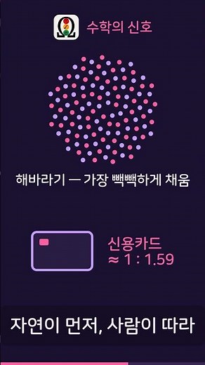 자연이 가장 사랑한 비율, 황금비 1.618 | 수학의 신호 #shorts