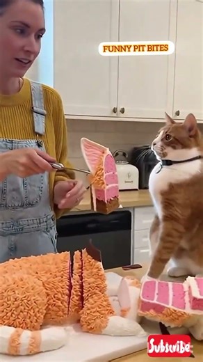 Jab Billi ko Birthday Cake mil jaye! 😂🐾