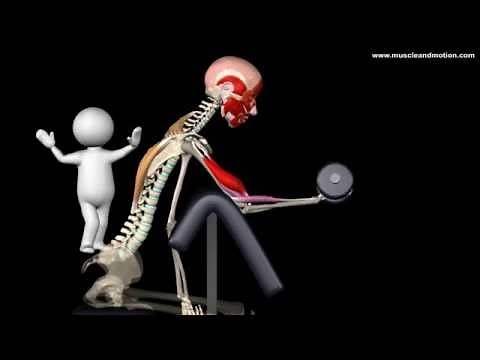 How to Do One-Arm Preacher Curls and a Common mistake