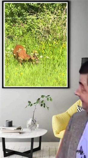 Kevzzz Super beezzz (@kevzz_super_beezzz)’s videos with original sound - Kevzzz Super beezzz