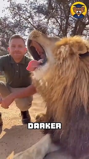 494K views · 4.9K reactions | These 8 Animal Facts Will Change How You See Nature Forever! #AnimalFacts #wildlife | Be Animal Facts | Facebook