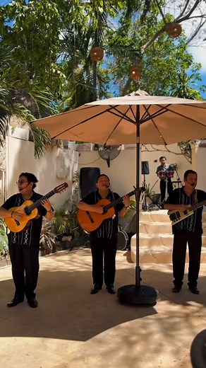 284 reactions · 26 comments | Trío de Boleros en vivo  La mañana del...