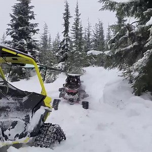 448K views · 961 reactions | Can am Apache Backcountry LT Tracks Project Ghost | Ostacruiser | Facebook